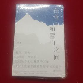 在雪山和雪山之间