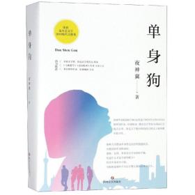 单身狗(2册)夜神翼四川文艺出版社
