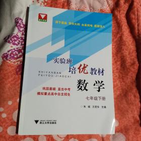 实验班培优教材 数学 七年级下册