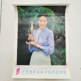 1986年历画：第四届金鸡奖最佳女配角宋晓英