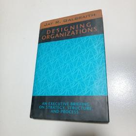 Designing Organizations: An Executive Briefing On Strategy Structure And Process （jossey-bass Mana全外文版9780787900915