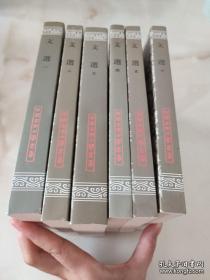 文選（全六冊）