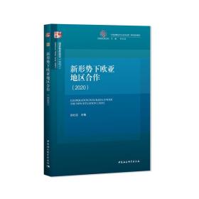 新华正版 新形势下欧亚地区合作（2020） 孙壮志 9787520374897 中国社会科学出版社