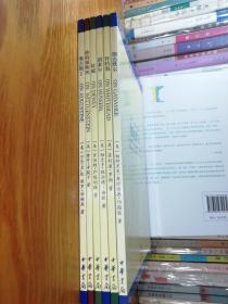 世界思想家译丛：伽达默尔、怀特海、维特根斯坦、奥古斯丁、杜威、胡塞尔。