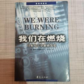 我们在燃烧：日本电子企业研发史