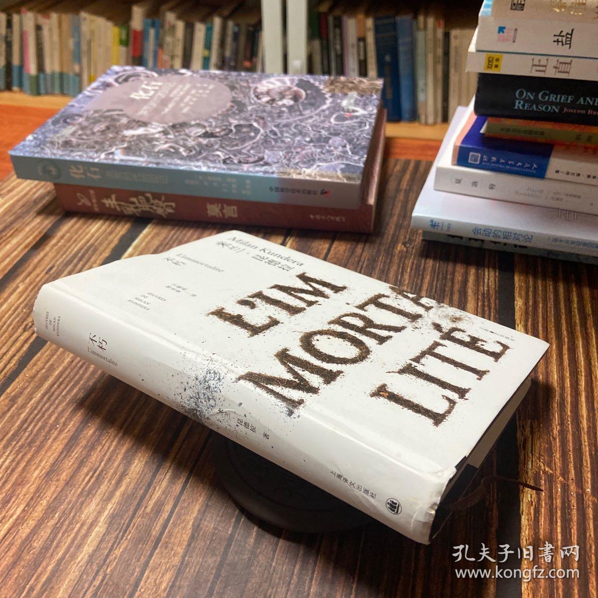不朽_米兰·昆德拉(milan kundera) 著;王振孙,郑克鲁 译_孔夫子旧书