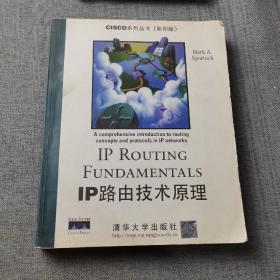 IP路由技术原理：英文