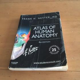 atlas of human anatomy 6th edition 英文