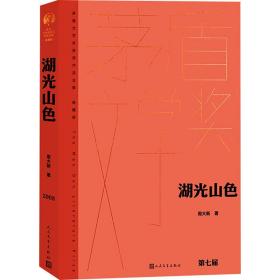 湖光山 中国现当代文学 周大新 新华正版