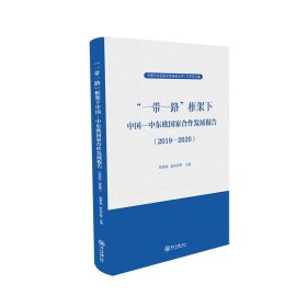 正版 “一带一路”框架下中国—中东欧国家合作发展报告（2019-2020） 骆雪娟，欧阳芳晖 中山大学出版社