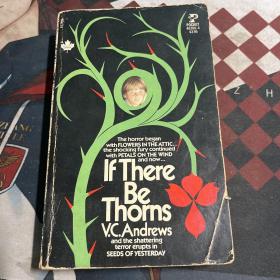 if there be thorns：There Be Thorns