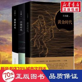 時代新版+白銀時代+黑鐵時代 中國現當代文學 王小波 新華正版