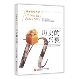 历史的兴衰/图像里的中国 王海晨 9787543978652 上海科学技术文献出版社