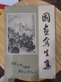 国画写生集  1957年上海人民美术出版社一版一印，16开平装仅印5千册，里面有潘天寿谢稚柳朱屺瞻唐云等大师名家的名作，值得收藏！