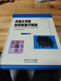 西藏小型猪组织胚胎学图谱