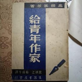 给青年作家