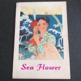 18开英文版连环画《海花》
