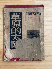新译文丛刊：草原的太阳