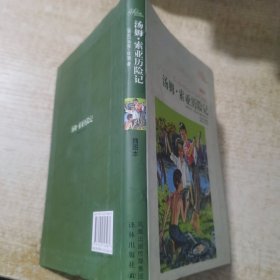 译林名著精选：汤姆·索亚历险记（插图本）