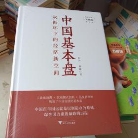 中国基本盘（吴晓波总顾问倾力推荐！读懂基本盘，把握中国新发展的大逻辑）