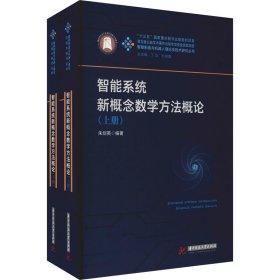 智能系统新概念数学方概(全2册)