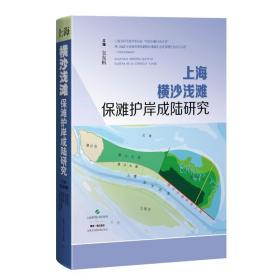 上海横沙浅滩保滩护岸成陆研究 环境科学 包起帆