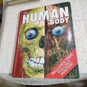 The Human Body【精装 8开 详情看图 品看图】