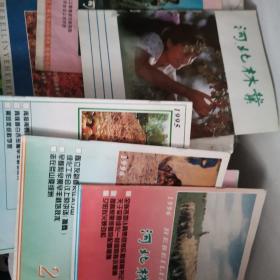 河北林业（1992-1997年期刊）8本