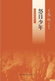 怒目少年 回憶錄四部曲之二