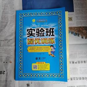 实验班提优训练二年级语文下（RMJY） （教师专享）