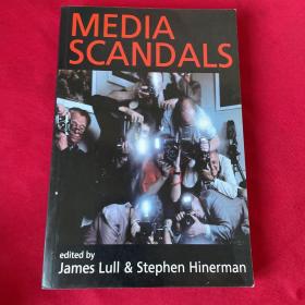 Media Scandals - Morality And Desire In The Popular Culture Marketplace