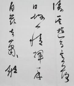 郭鸿光书法宁夏书协副秘书长银川书协副主席青山横北郭136*68，郭鸿光，男，汉族，1973年5月出生，中书协会员、民建会员。宁夏书法家协会副秘书长，银川市书法家协会副主席，银川市青年书法家协会主席。