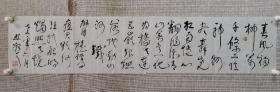 江苏著名书法家 林散之先生书法一幅 尺寸126*28厘米 保真