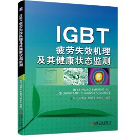 IGBT疲劳失效机理及其健康状态监测 肖飞 9787111634072 机械工业出版社