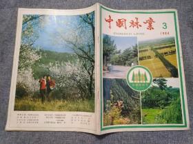 中国林业1984     3