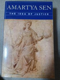 正义的概念The Idea of Justice