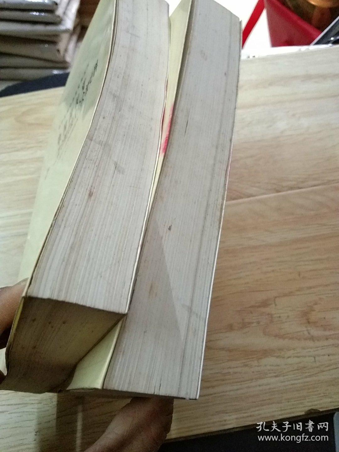 中国国民党第一二次全国代表大会会议史料上下