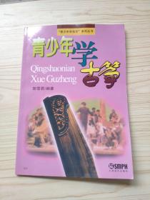 “青少年学音乐”系列丛书：青少年学古筝
