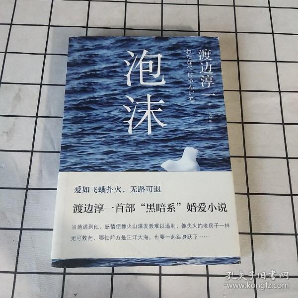 泡沫([日]渡边淳一 著;高培明 译)_简介_价格_小说书籍_孔网