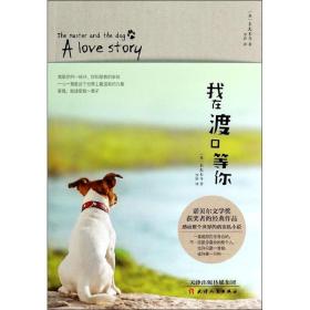 正版書籍 我在渡口等你