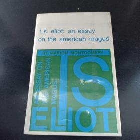 T. S. Eliot: an essay on the American magus论T.S艾略特