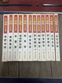 中国禁毁文学名著 （全12册）