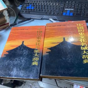 中国历史文化名城大辞典（上下）