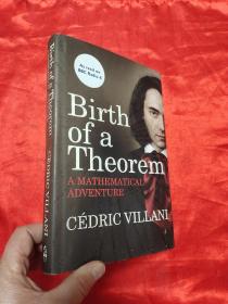 Birth of a Theorem：A Mathematical Adventure  （小16开，硬精装 ）  【详见图】