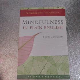 Mindfulness In Plain English A