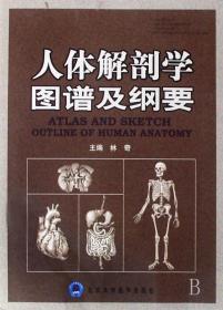 全新正版 人体解剖学图谱及纲要 林奇 9787810719285 北京医大