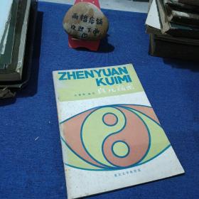 真元窥密