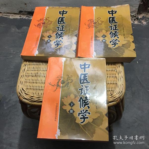 中医证候学上中下