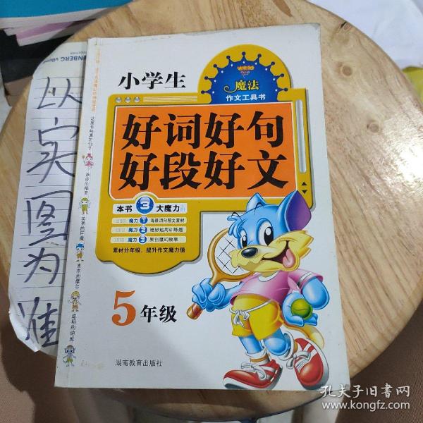 小学生好词好句好段好文（5年级）王玉芳 著 湖南教育出版社 2010 04 平装