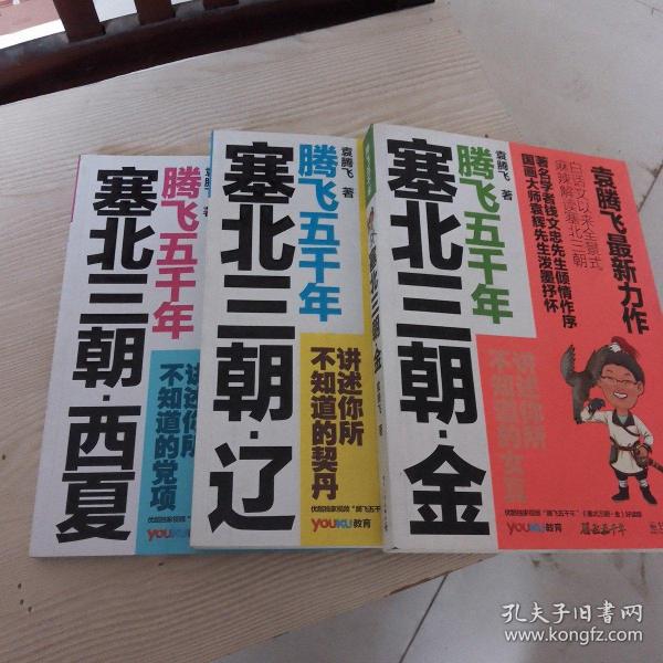 塞北三朝·西夏